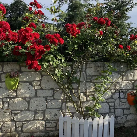 Alojamento de Acomodação e Pequeno-almoço Windmill Alacati