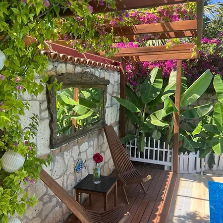 Bed and breakfast Windmill