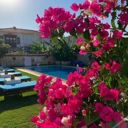 Windmill Alojamento de Acomodação e Pequeno-almoço