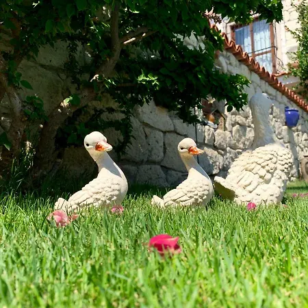 Windmill 3* Alacati