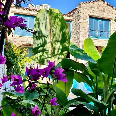 Windmill Alacati