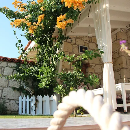 Bed and Breakfast Windmill 4*