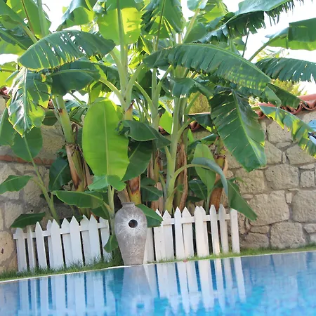 Windmill Bed and Breakfast 4*