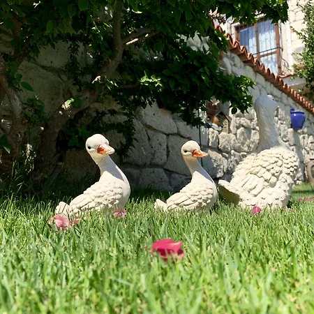 Windmill 4* Αλακάτι