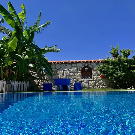 Bed and Breakfast Windmill