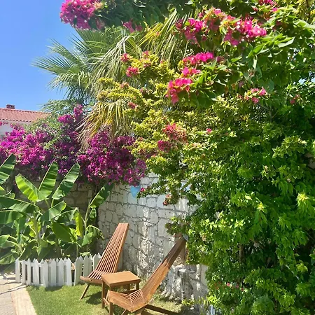 Windmill Bed & Breakfast 4*