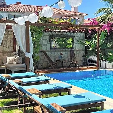 Windmill 4*