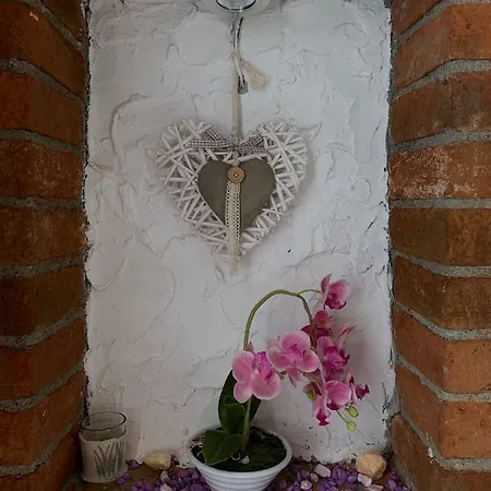 Bed and Breakfast Windmill