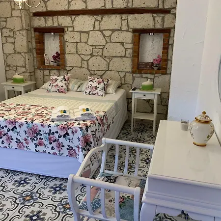 Bed and Breakfast Windmill