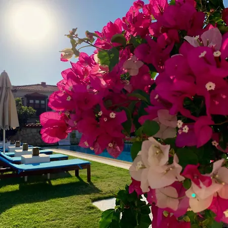 Bed and Breakfast Windmill 4*